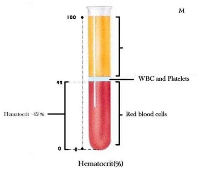 What hematocrit level is critical?