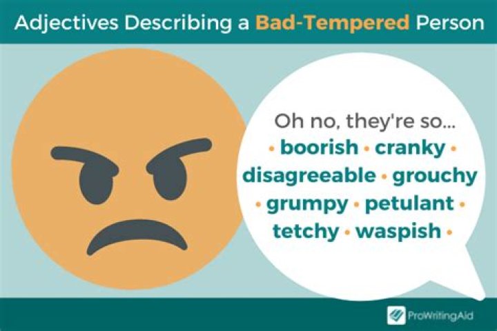 What is a bad tempered person?