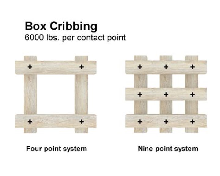 What is a crib biter?