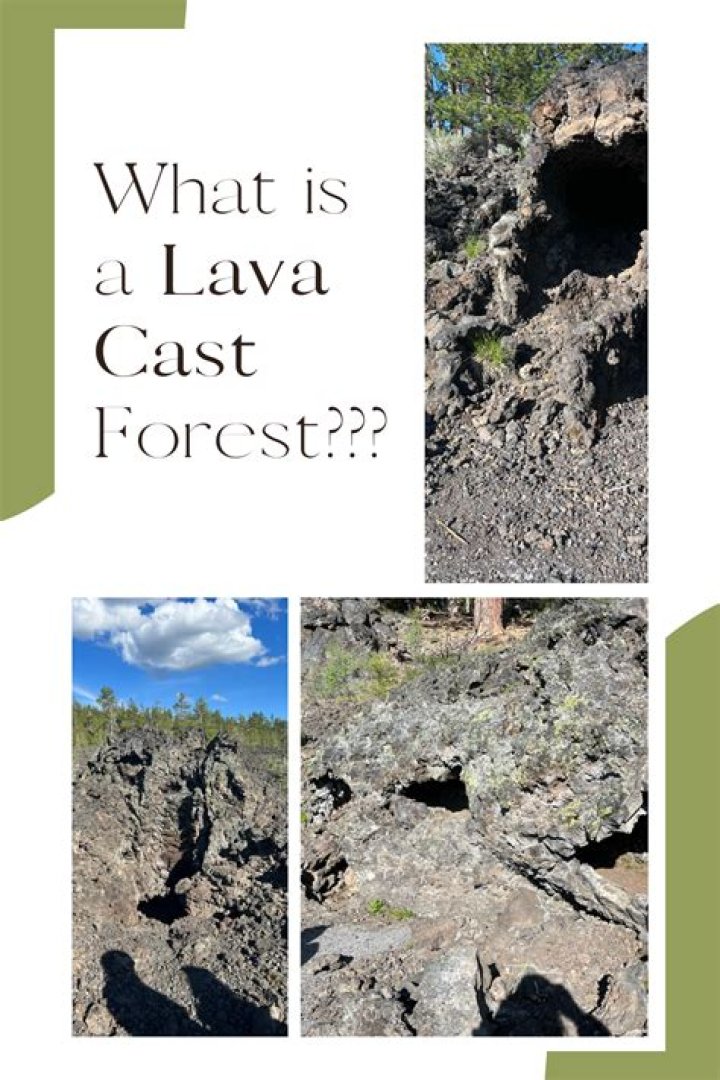 What is a lava cast?