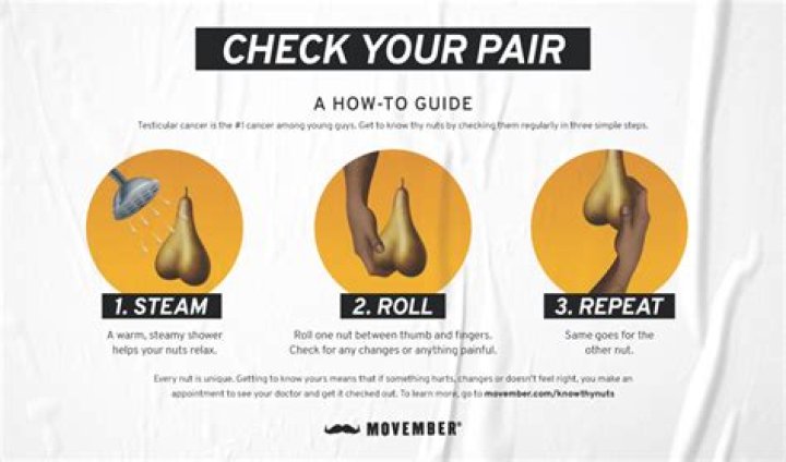 What is a lump in a testicle sack?