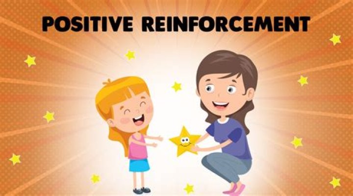 What is a positive reinforcer?