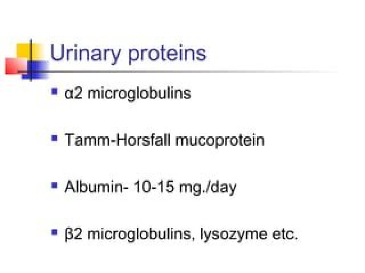 What is a tamm-horsfall mucoprotein?