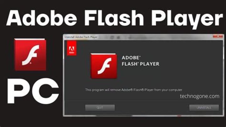 What is adobe flash player?