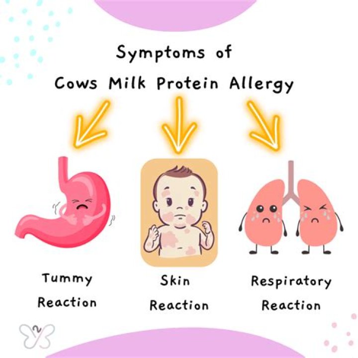What is cows milk protein allergy?