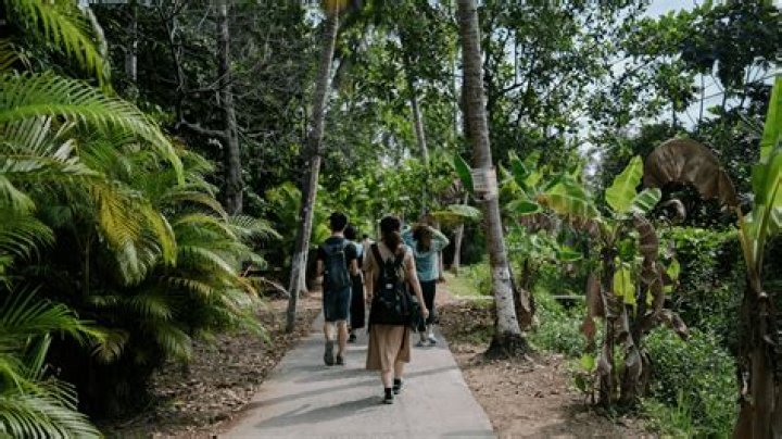 What is day tripper tourism?