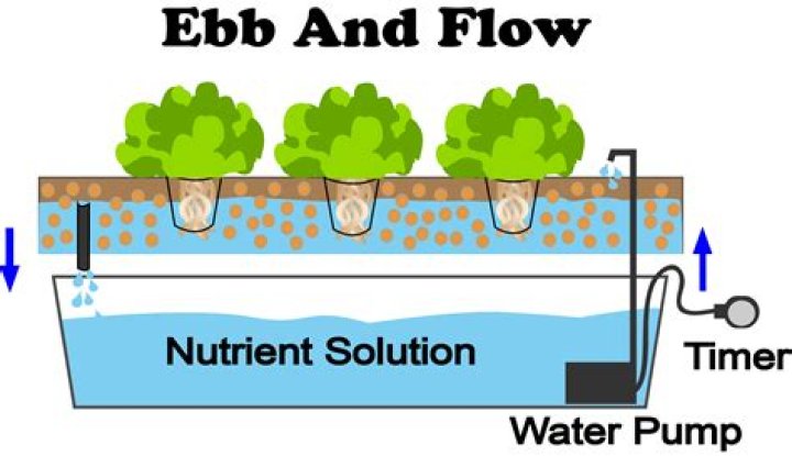 What is ebb and flow hydroponics?