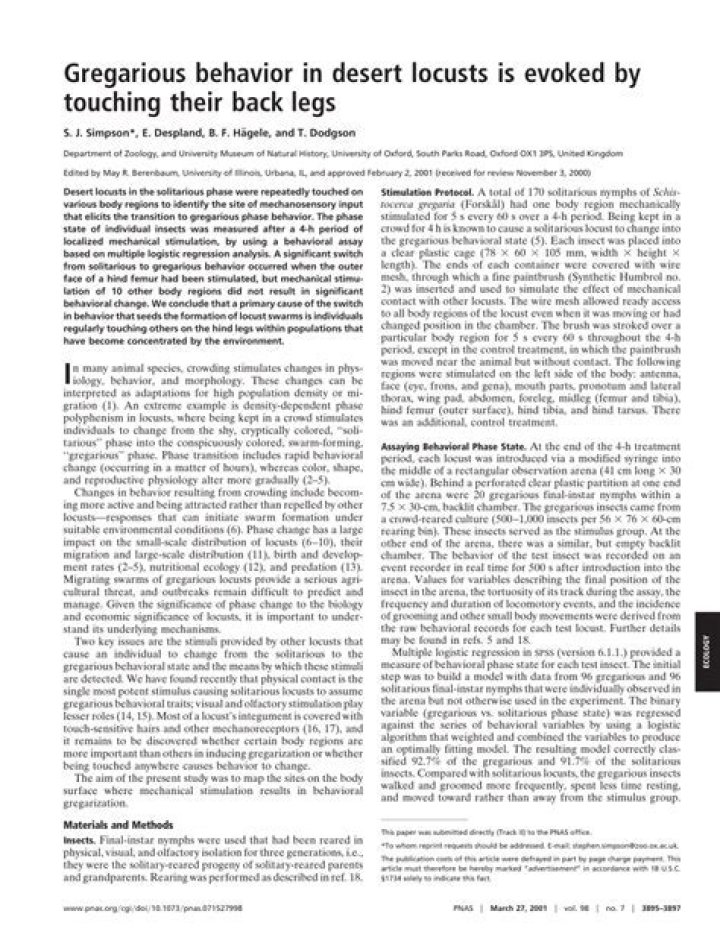 What is gregarious behavior?