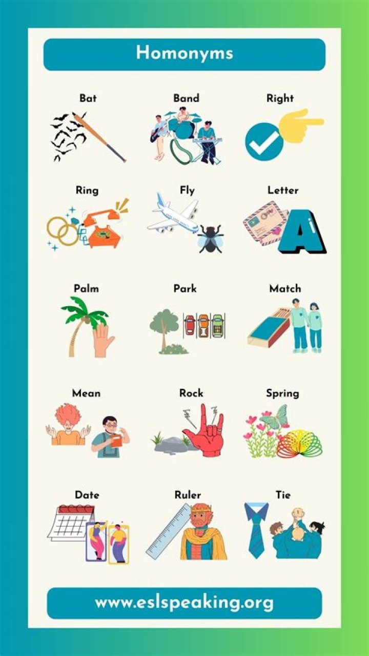 What is homonyms in linguistics?