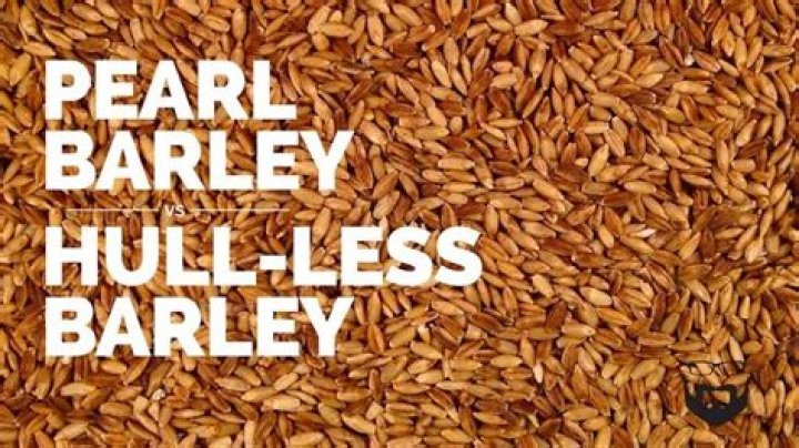 What is hull less barley?