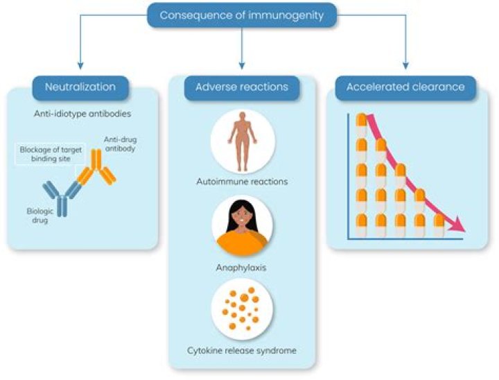 What is immunogenicity of a vaccine?