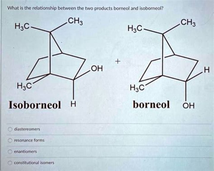 What is isoborneol formula?