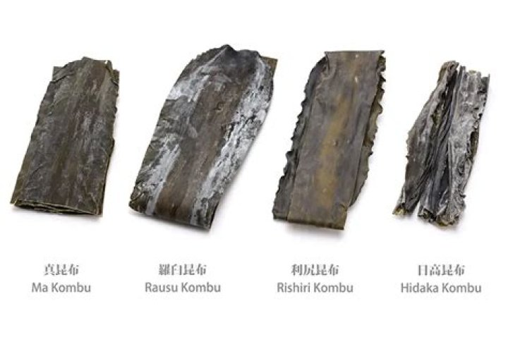 What is japanese kombu in english?