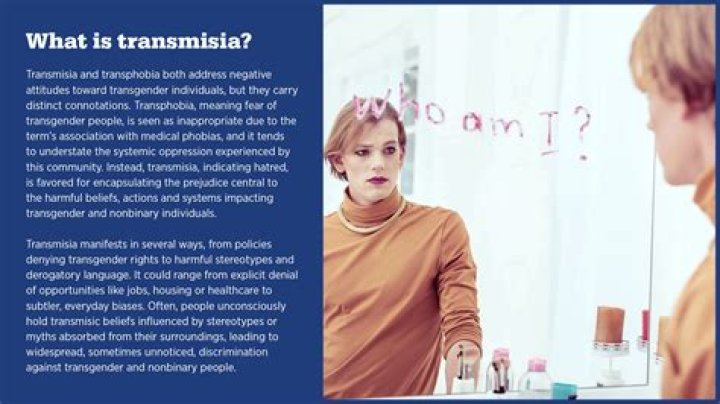 What is meaning of ecumenicity?