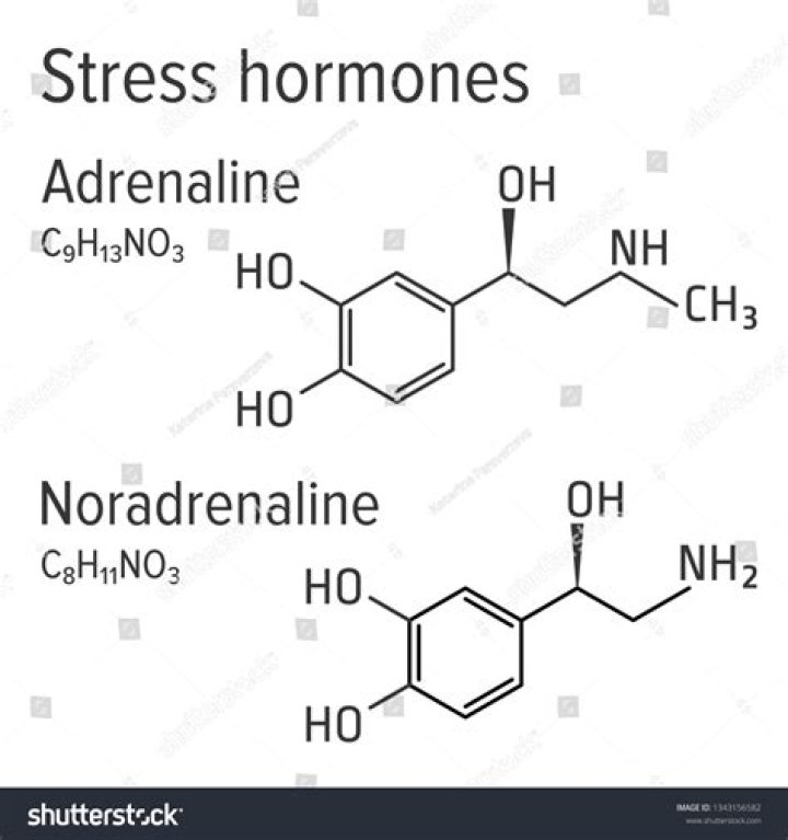 What is noradrenaline and adrenaline?