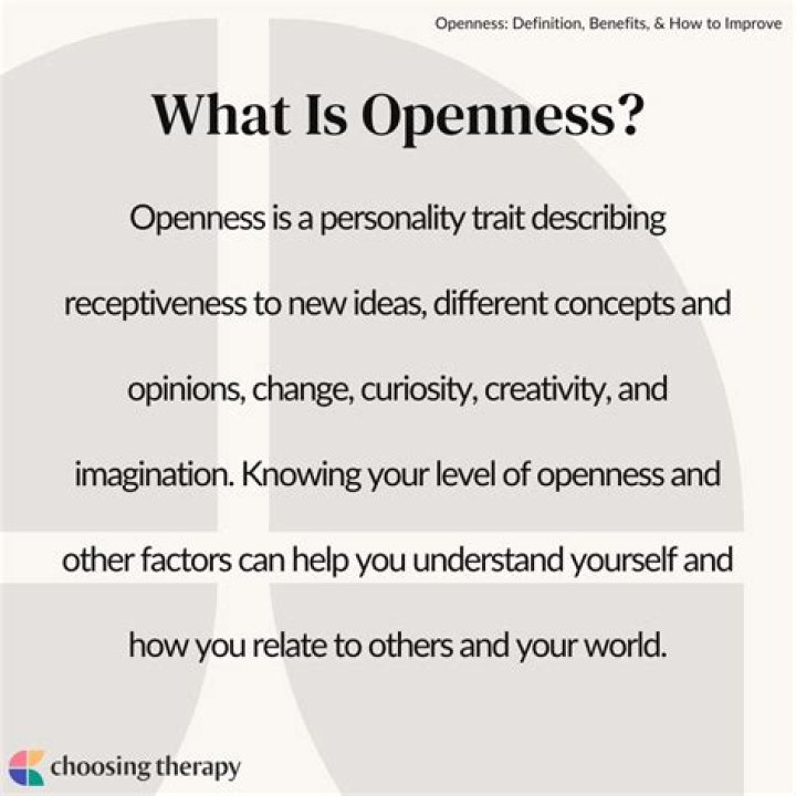 What is openness mean?