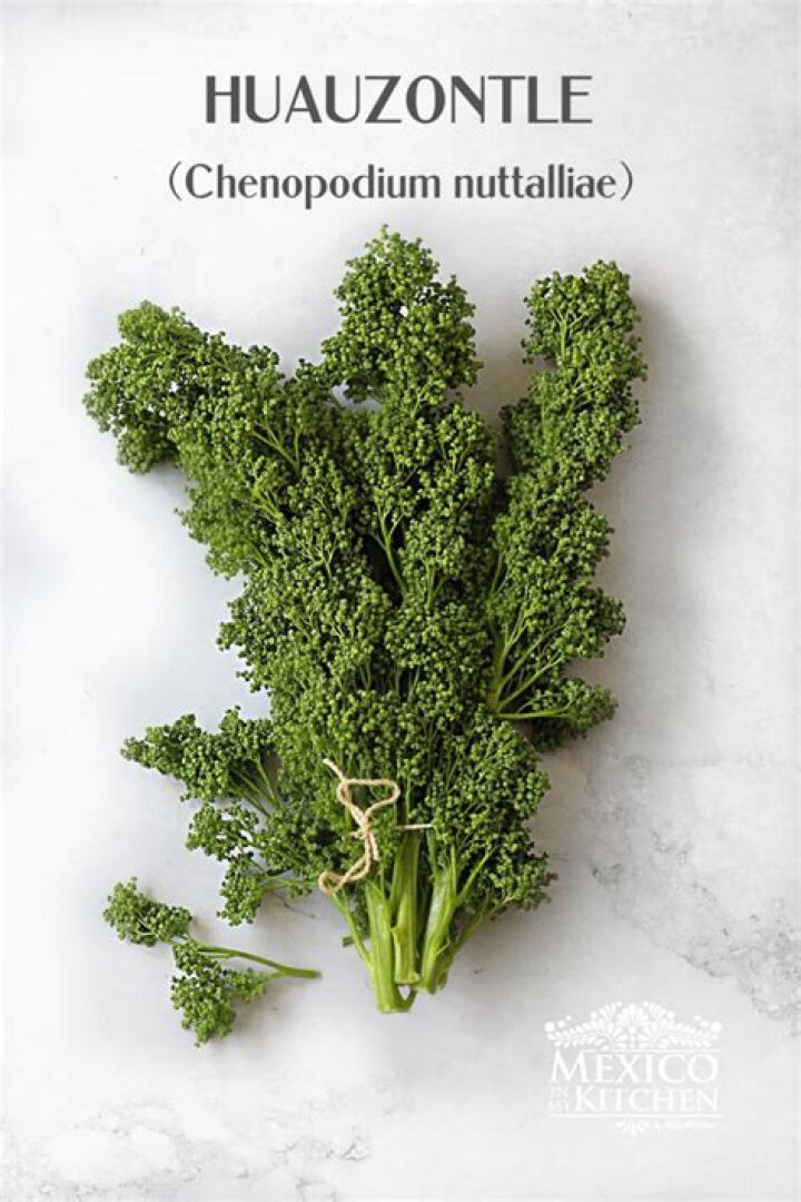 What is quelite in english?