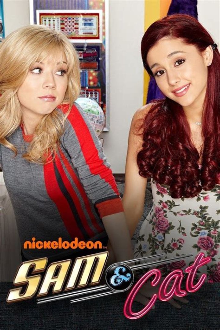 What is sam and cat about?