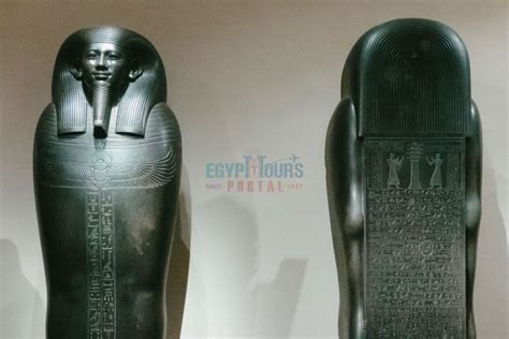 What is sarcophagus used for?