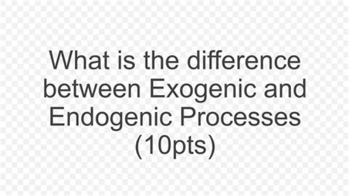 What is the difference between exogenic and endogenic processes?
