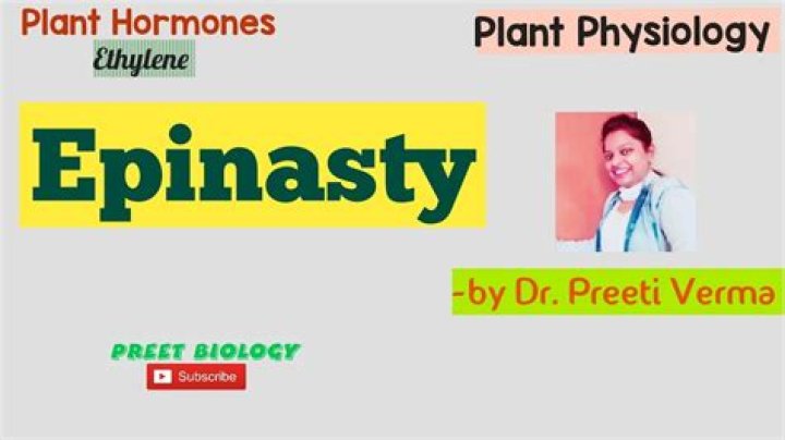 What is the meaning of hyponasty?