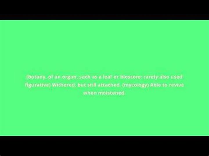 What is the meaning of marcescent?