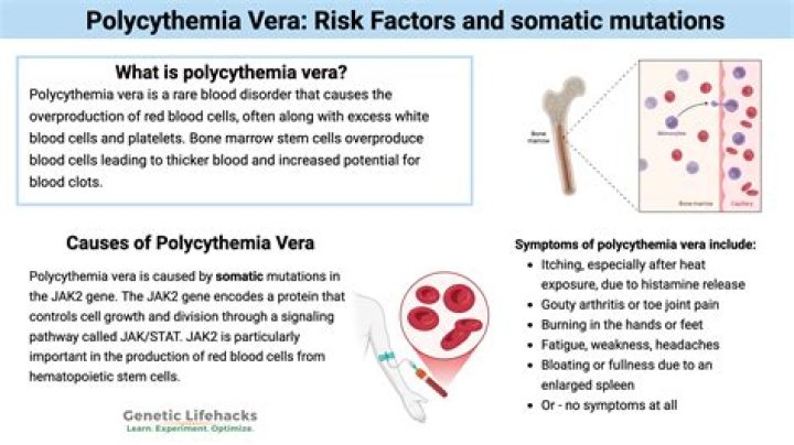 What is the meaning of polycythaemia?