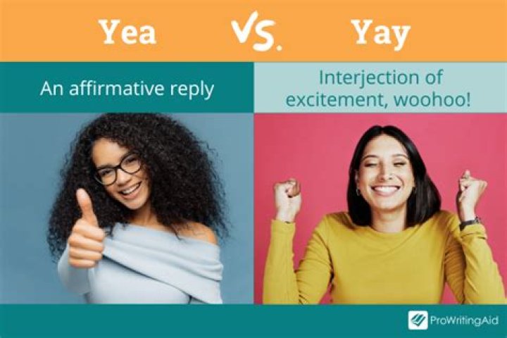 What is the meaning of yea and nay?