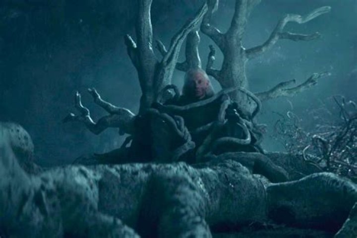 What is the purpose of the three eyed raven?