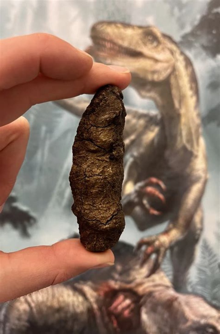 What is the use of making dinosaurs poop in Ark?