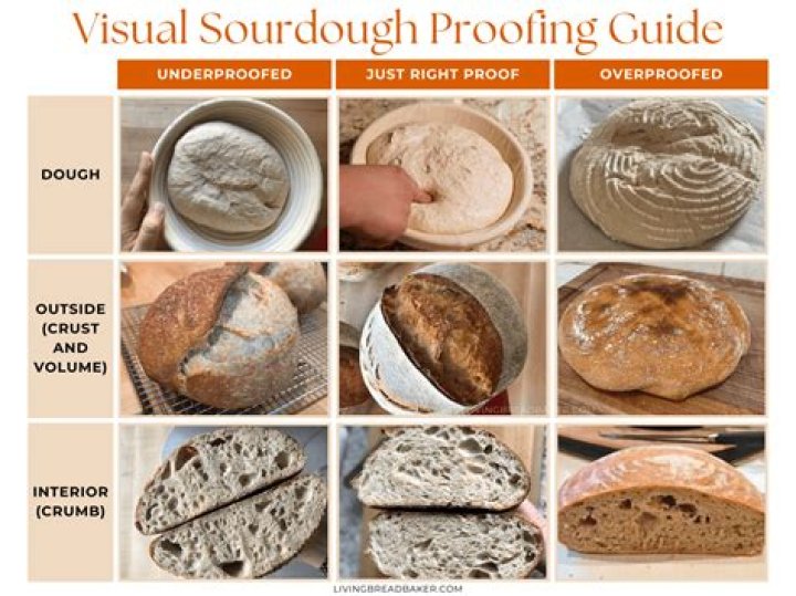What is underproofed dough?