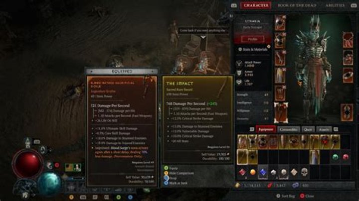 What items can followers use in Diablo 3?