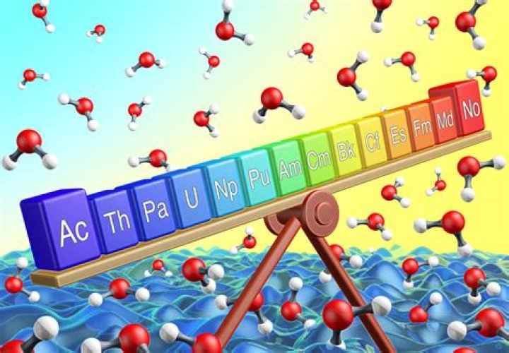 What nobelium found in?