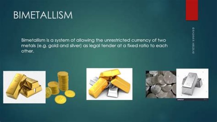 What us a bimetallism?