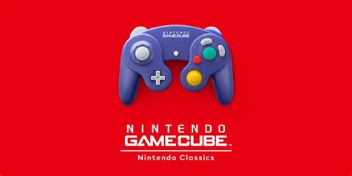 What video output formats are supported on the Nintendo Gamecube?