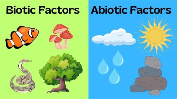 Whats a abiotic factor?