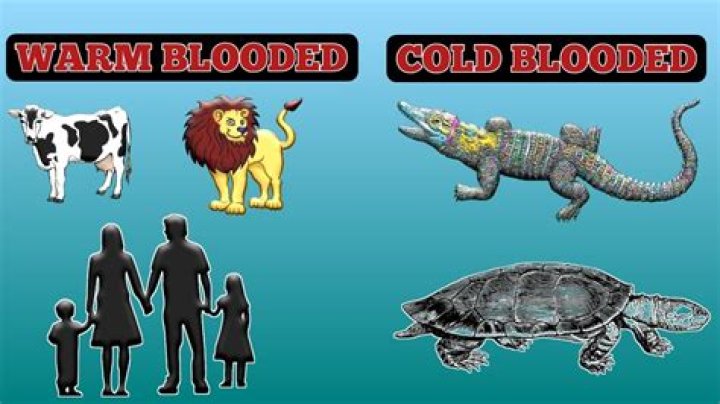 Whats a bloodless coup?