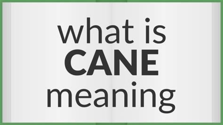 Whats a caning mean?
