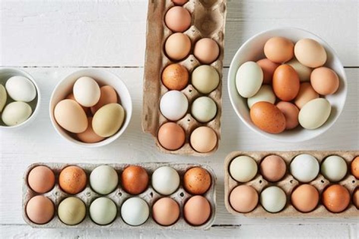 Whats a pastured egg?