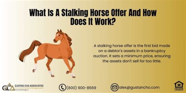 Whats a stalking horse?