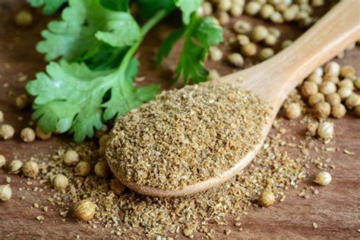 Whats a substitute for coriander?