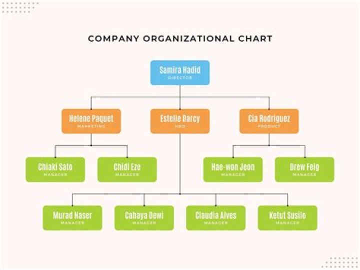 Whats an organisational chart?