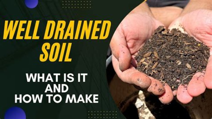 Whats free draining soil?