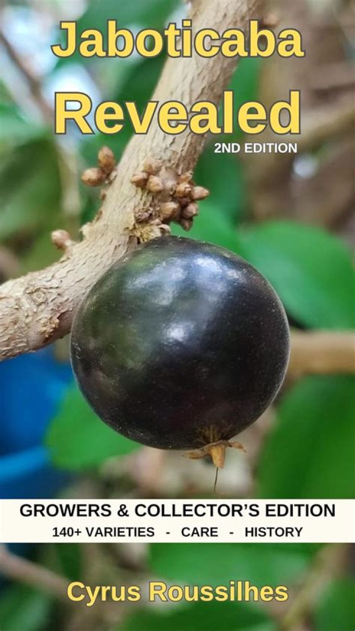 What's jaboticaba in english?