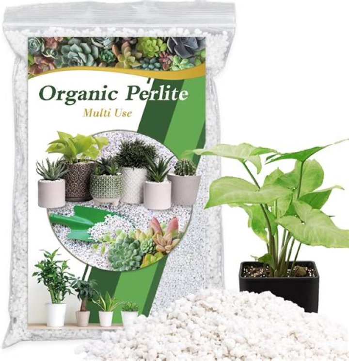 Whats perlite made of?