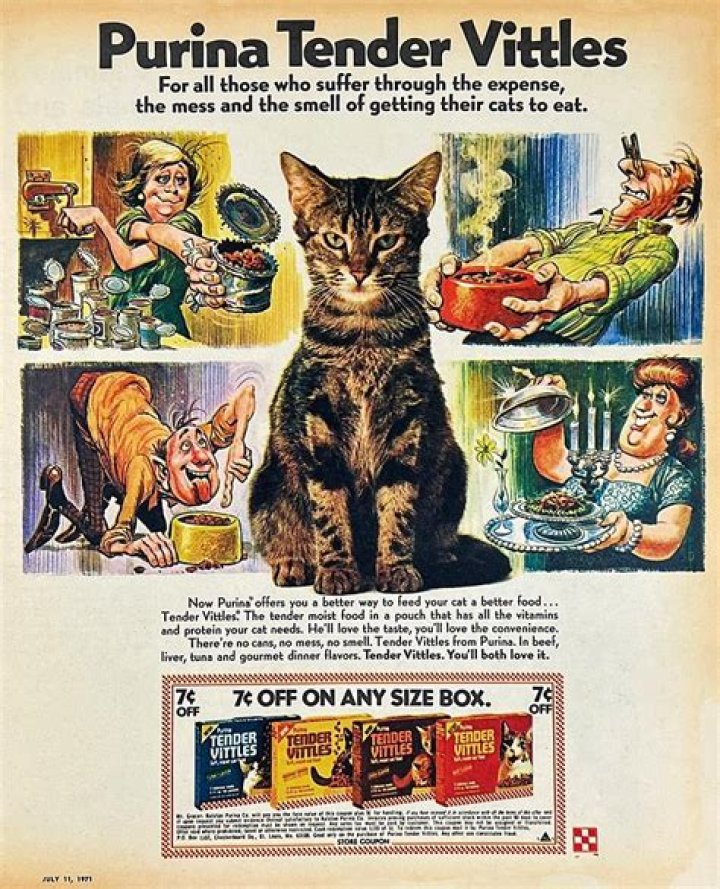 What's tender vittles mean?