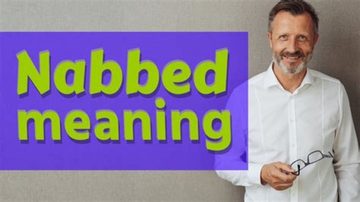 Whats the definition of nabbed?