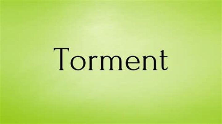 Whats the definition of tormented?