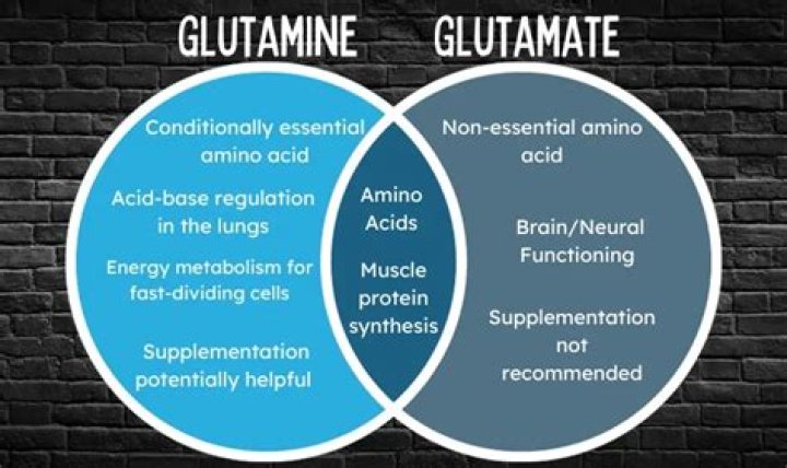 Whats the difference between glutamic acid and valine?