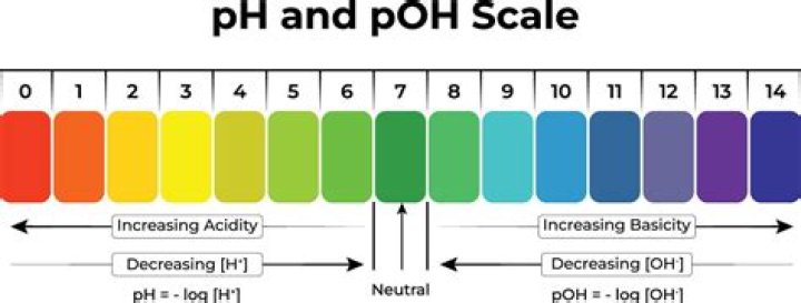Whats the difference between ph and poh?